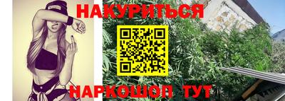 прущие крисы Заводоуковск