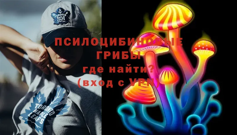 дарнет шоп  Россошь  Псилоцибиновые грибы Cubensis 