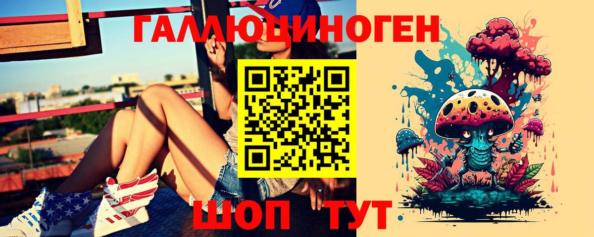 Псилоцибиновые грибы GOLDEN TEACHER  Вход с VPN  Псилоцибиновые грибы Cubensis  Россошь 