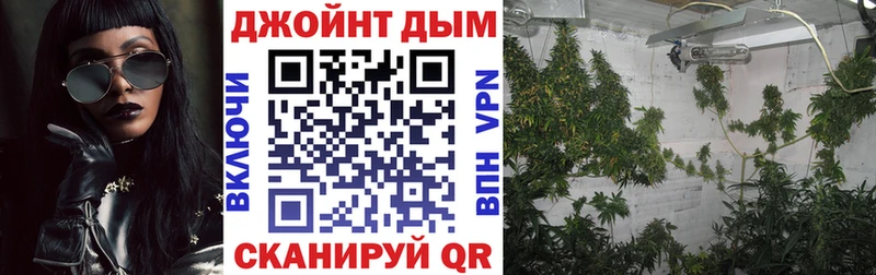 кракен вход  Россошь  Марихуана план 